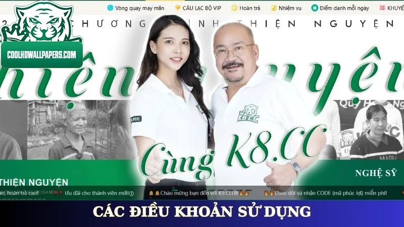 Các điều khoản sử dụng